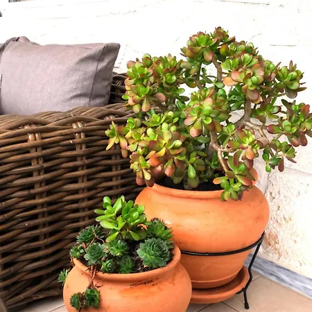 Sani Eclectic Family Villa, Private Garden Σπίτι διακοπών Παραλία Σάνη