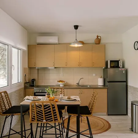 Sani Eclectic Family Villa, Private Garden Holiday home