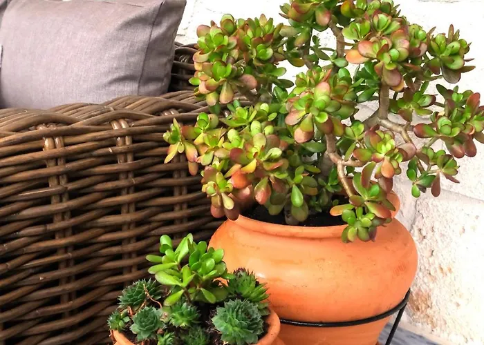 Sani Eclectic Family Villa, Private Garden 度假居 撒尼海滩